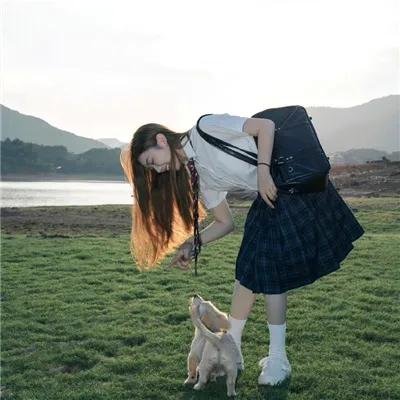 引狼入室